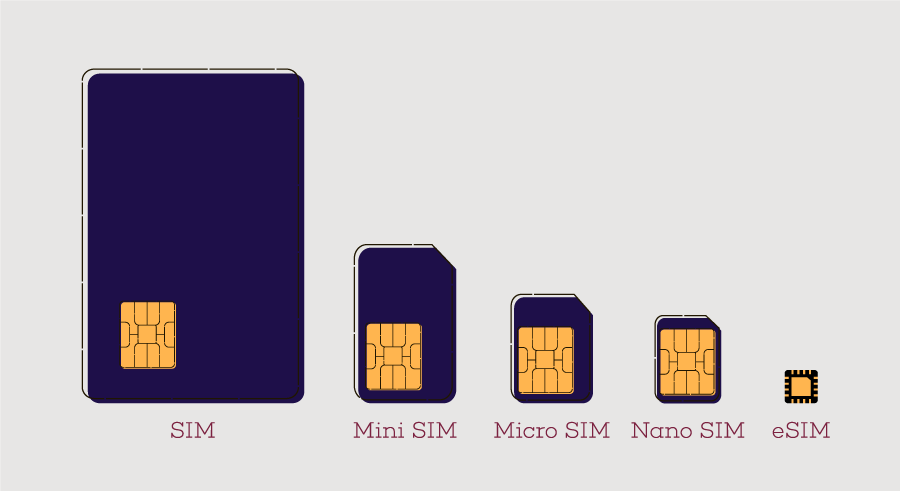 Evolución de la SIM
