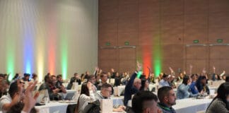 Zoholics llegará a Medellín por primera vez
