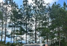 Kia y Alado recorren el corazón cafetero colombiano para llevar una historia de diseño, sostenibilidad y territorio a Colombiamoda 2026